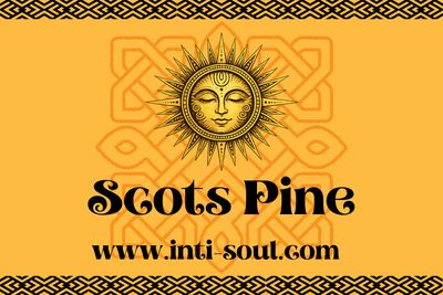Scots Pine - Inti Soul Original