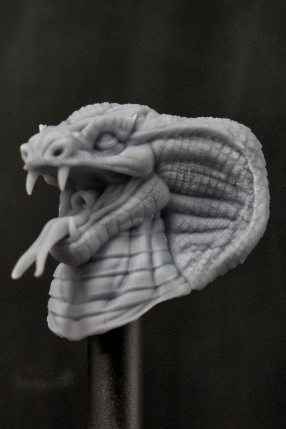 Rango Rex