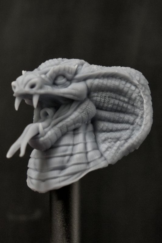 Rango Rex