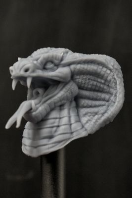 Rango Rex