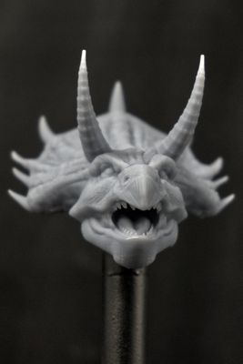 Rocco Rhino