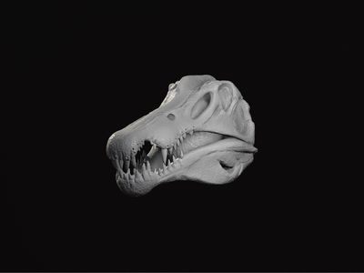Spinosaurus