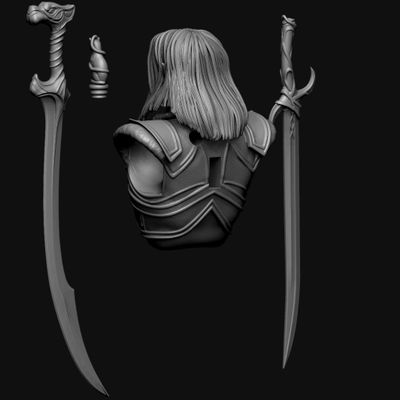 Tribute to Forgotten Realms Drizzt