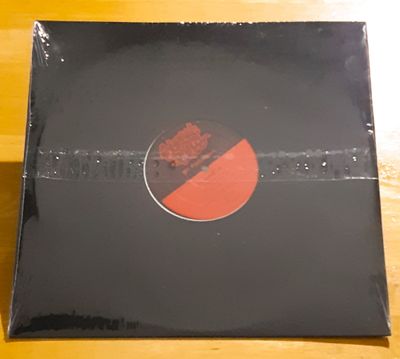 SKINZ / EVERYDAY LIFE (DIF PRODUCTIONS) 12" Single - Vinyl