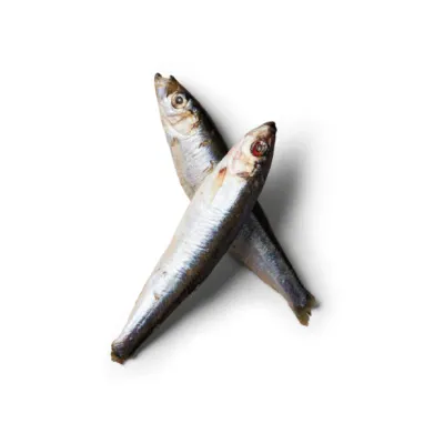 Nutriments Frozen Treats &amp; Bones Sprats (Whole frozen) 1kg