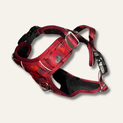 Twiggy Tag Alpenglow Harness Size 3