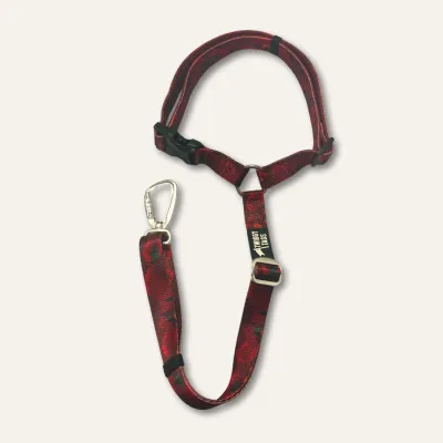 Twiggy Tag Alpenglow Adventure Seatbelt