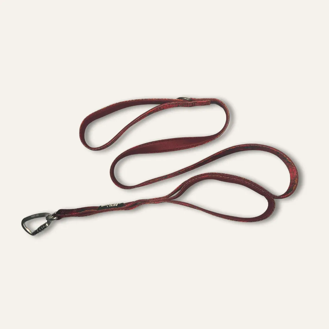 Twiggy Tag Alpenglow Adventure Close Control Lead
