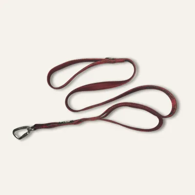 Twiggy Tag Alpenglow Adventure Close Control Lead