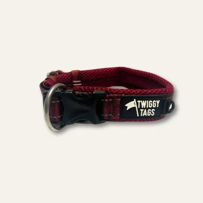 Twiggy Tag Alpenglow Collar Size 2