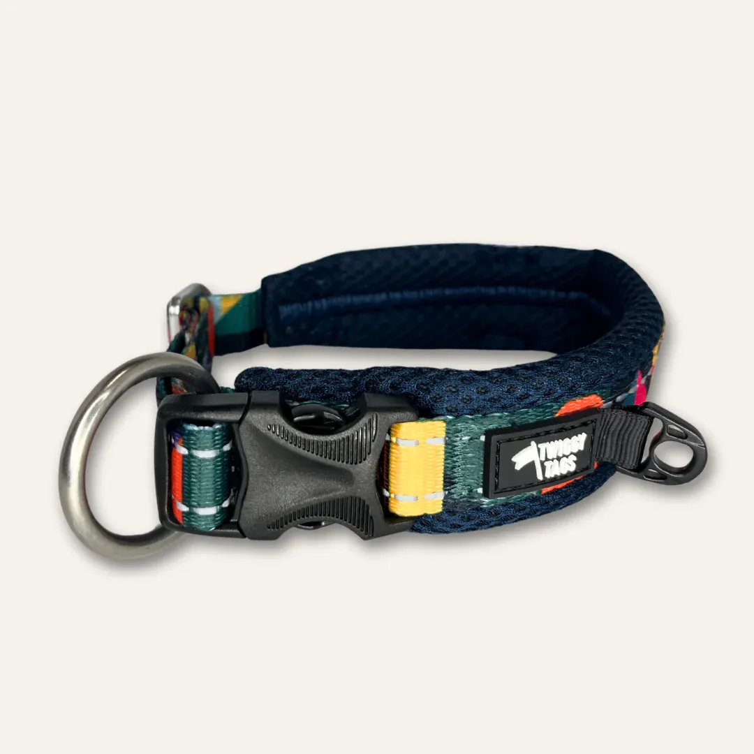 Twiggy Tag Aurora Collar Size 1