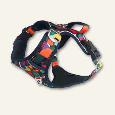 Twiggy Tag Aurora Harness Size 1