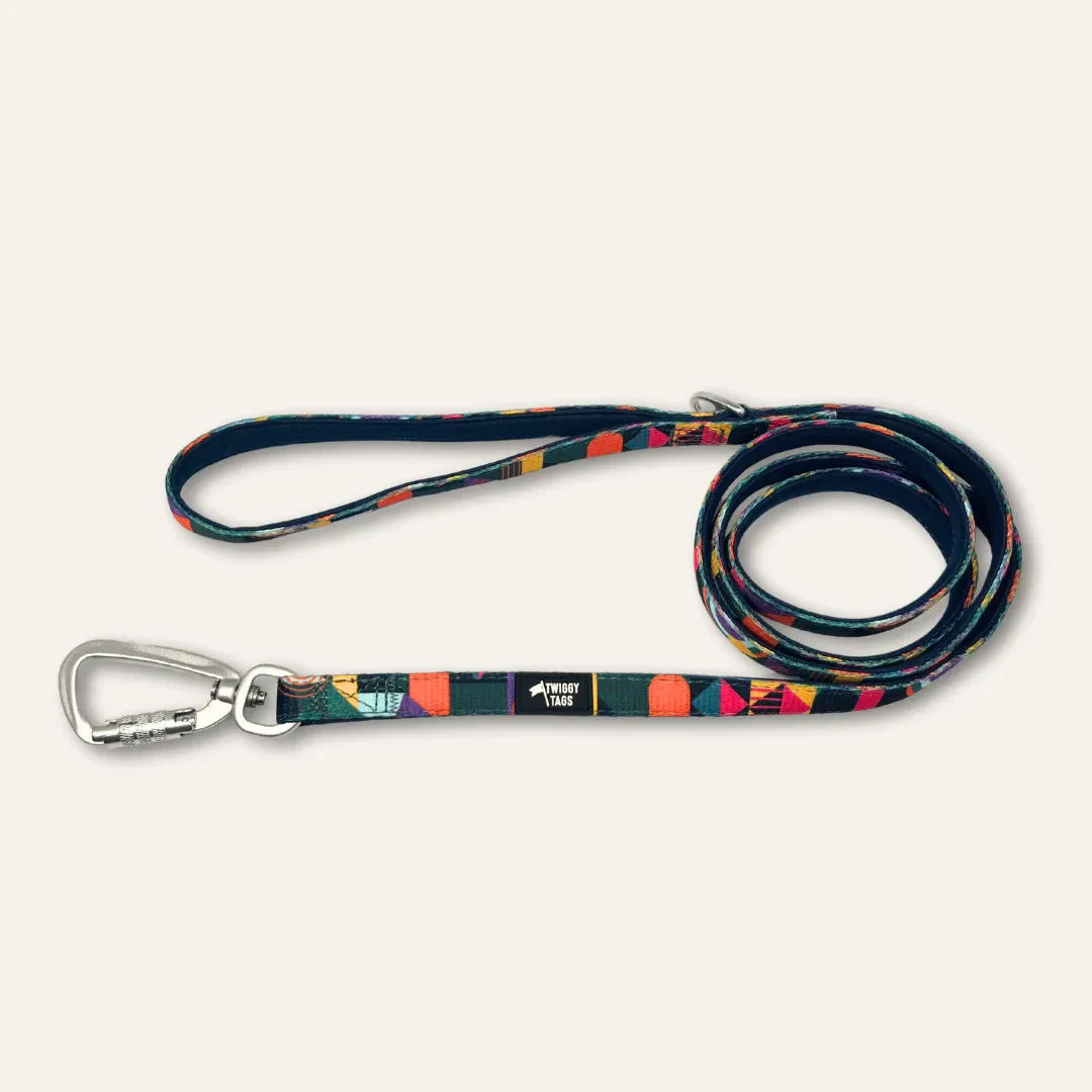 Twiggy Tag Aurora Adventure Lead Small