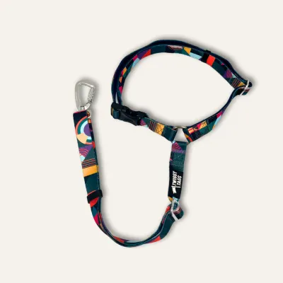 Twiggy Tag Aurora Adventure Seatbelt