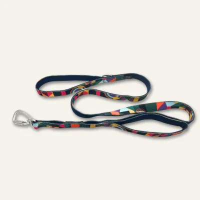 Twiggy Tag Aurora Adventure Close Control Lead