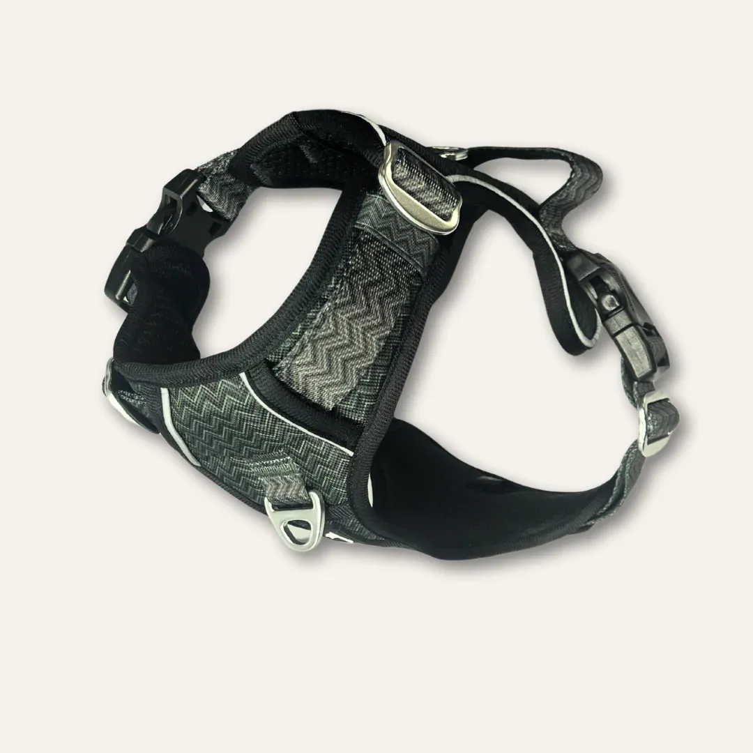 Twiggy Tag Petrichor Harness Size 2
