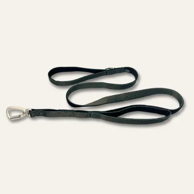 Twiggy Tag Petrichor Adventure Close Control Lead