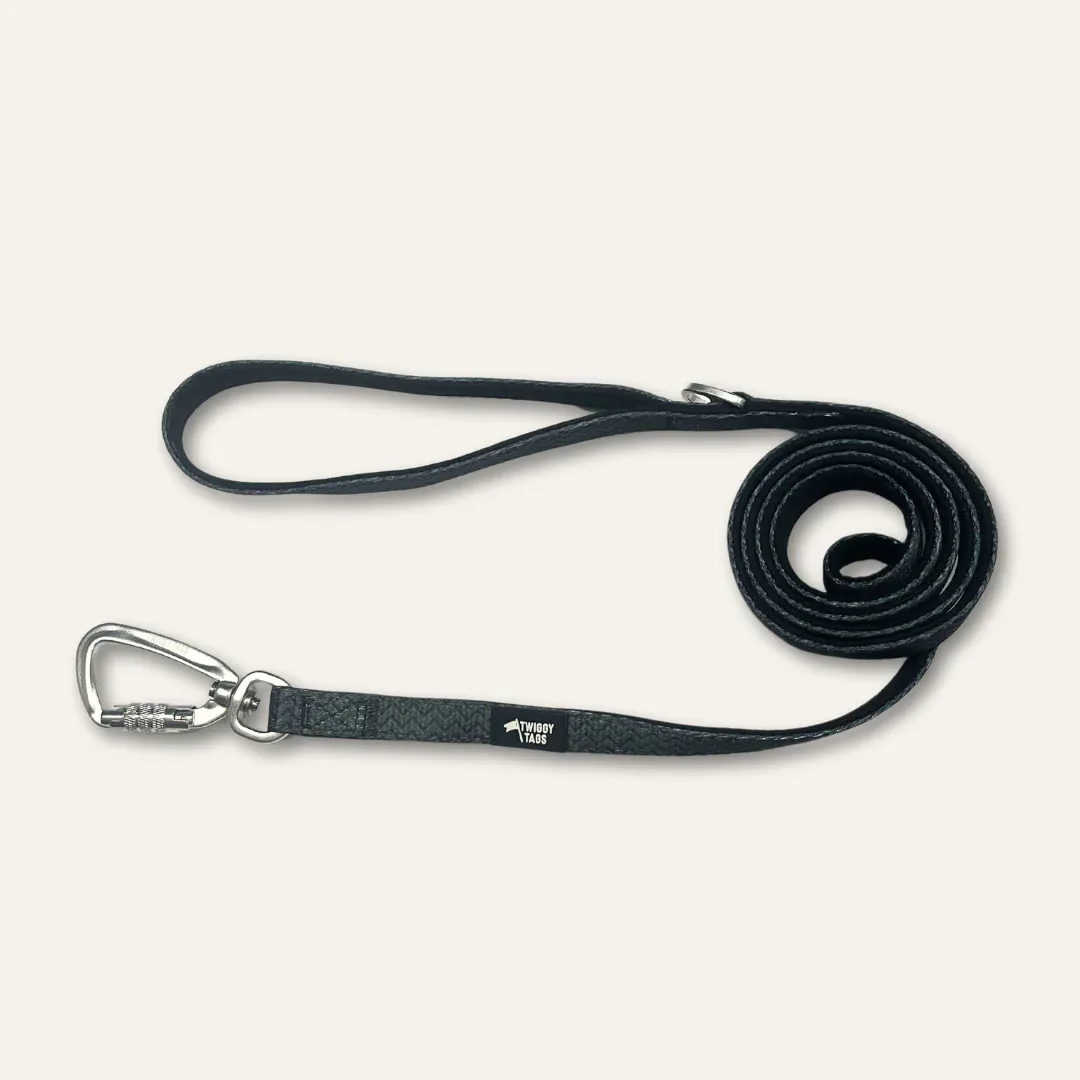 Twiggy Tag Petrichor Adventure Lead Small