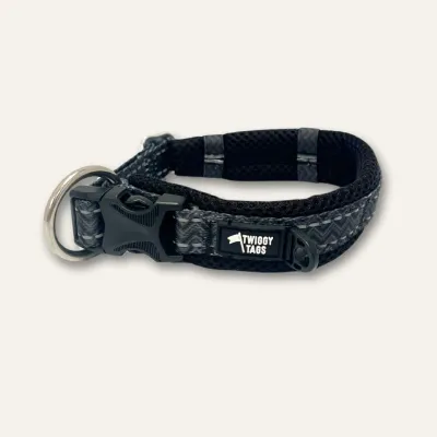 Twiggy Tag Petrichor Collar Size 2