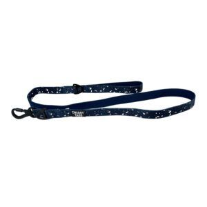 Twiggy Tag Galactic Adventure Lead Small