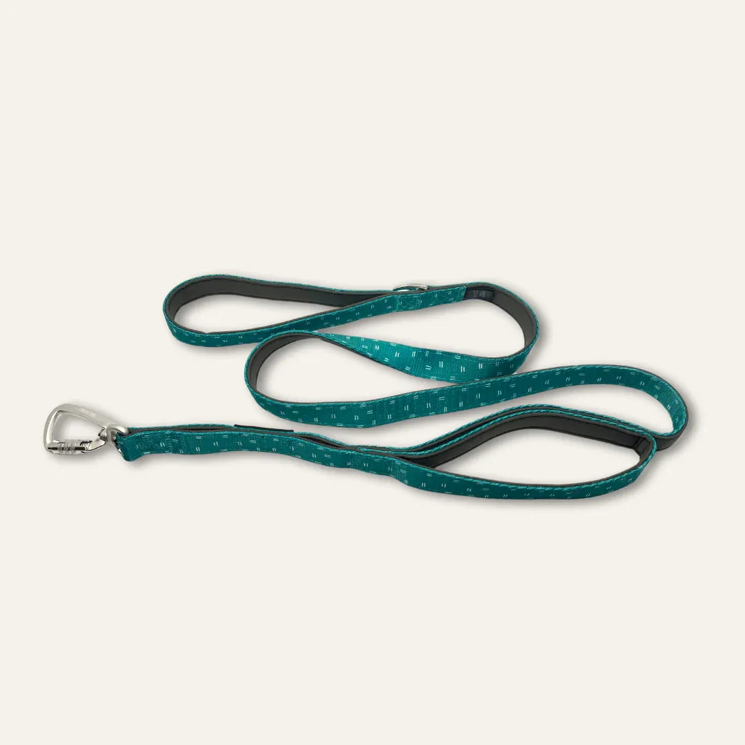 Twiggy Tag Tranquil Adventure Close Control Lead