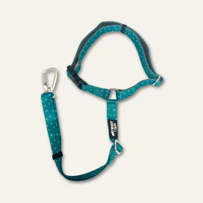 Twiggy Tag Tranquil Adventure Seatbelt