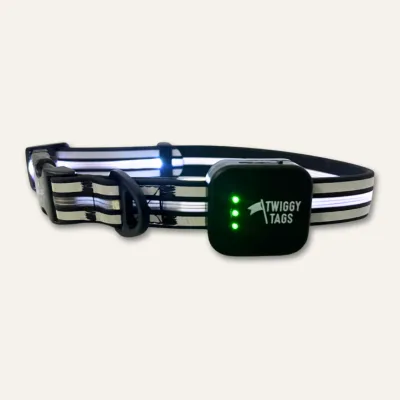 Twiggy Tag TrekBright Light-Up Collar Large