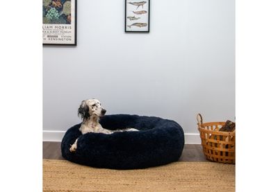 Ancol Super Soft Plush Donut Navy 100cm