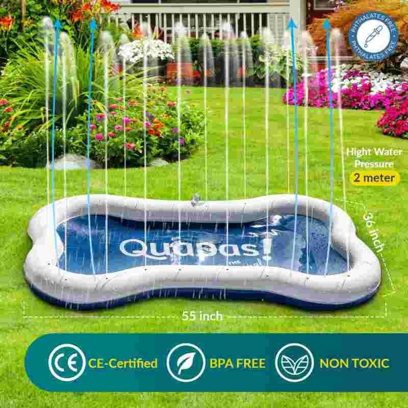 Quapas! Dog Splash