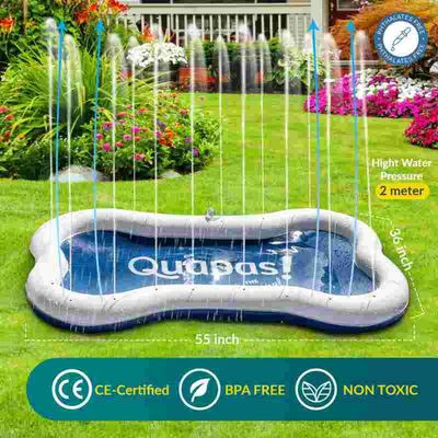 Quapas! Dog Splash