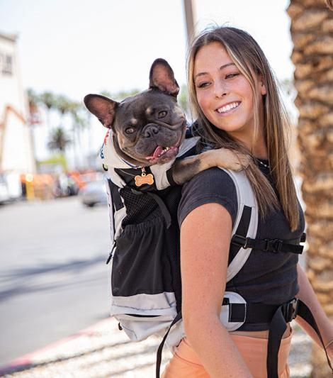 K9 - PLUS 2 BACKPACK GREY LARGE