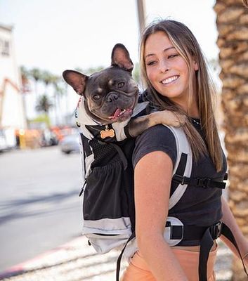 K9 - PLUS 2 BACKPACK GREY LARGE
