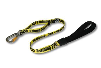 DNA Dogwear Summit Pro Lead 1M - Training