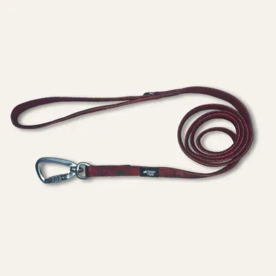 Twiggy Tag Alpenglow Adventure Lead Small