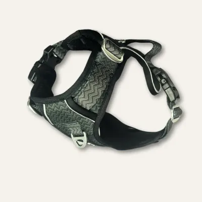 Twiggy Tag Petrichor Harness Size 1