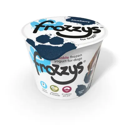 Frozzys Blueberry Frozen Yogurt 85g