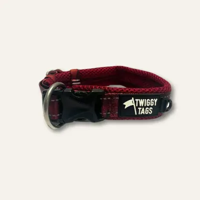 Twiggy Tag Alpenglow Collar Size 1