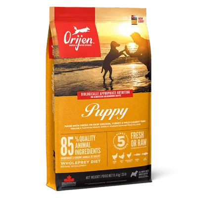 Orijen Puppy 340g