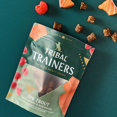 Tribal Trainers - Trout &amp; Rasberry 80g