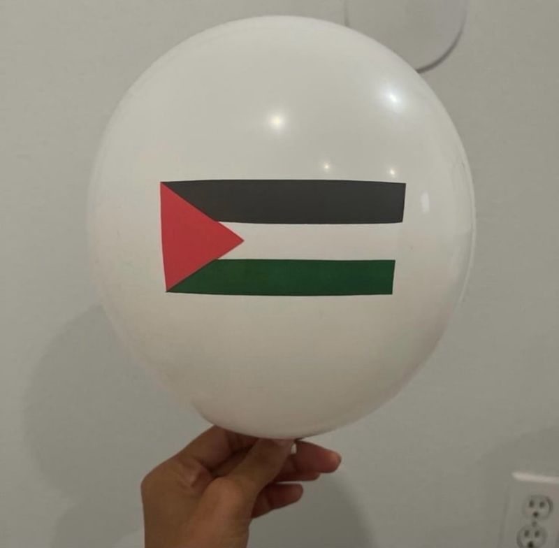 25 Set of Palestine Balloons