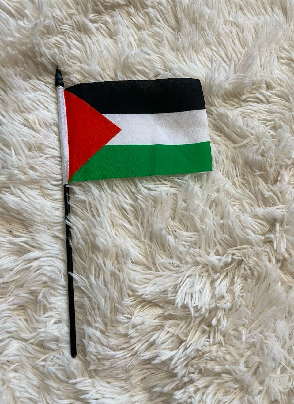 Mini Palestine Flag