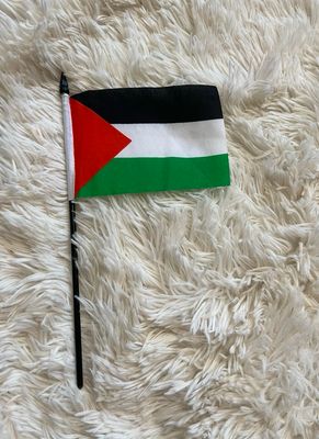 Mini Palestine Flag