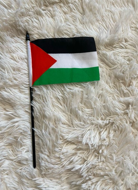 Mini Palestine Flag
