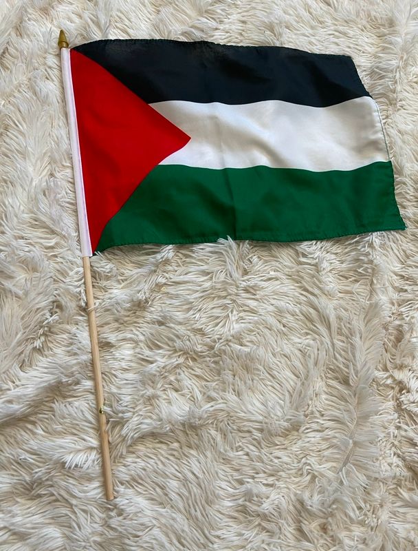 Medium Palestine Flag