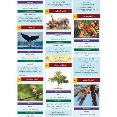 The Clear Qur’an Series: Dictionary (Hardback)