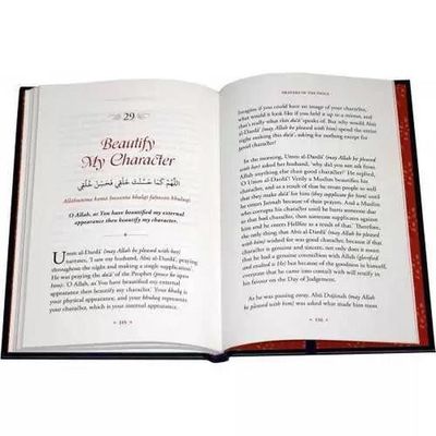 A Brief Illustrated Guide to Understanding Islam (Paperback)