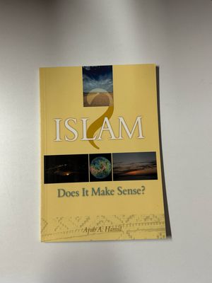Islam: Does it Make Sense (Paperback)