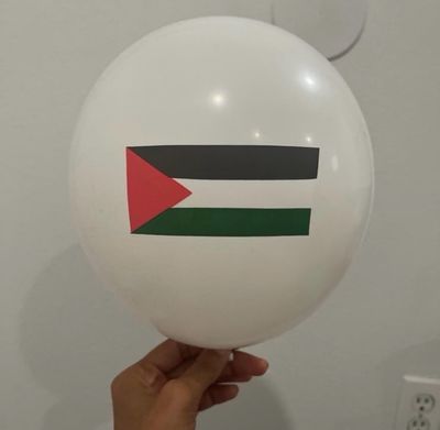 Set Of 20 Palestine Balloons