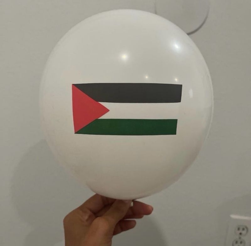 Set Of 20 Palestine Balloons
