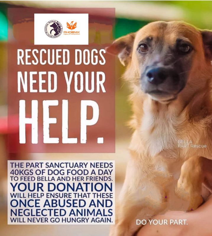 Be a Hero for Animals: Donate to the Philippine Animal Rescue Team Today!